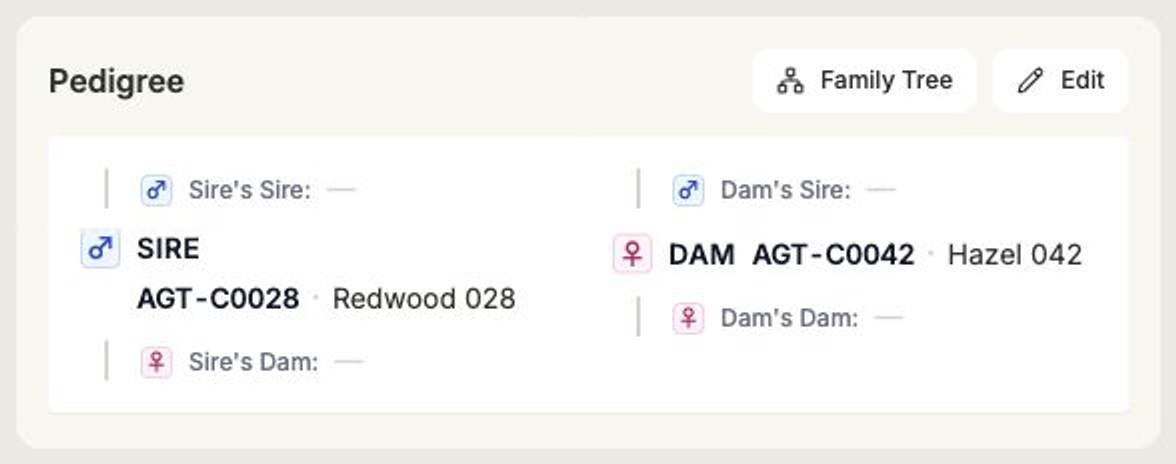 The Pedigree section of an animal record showing a three-generation family tree of sire, dam and grandparents