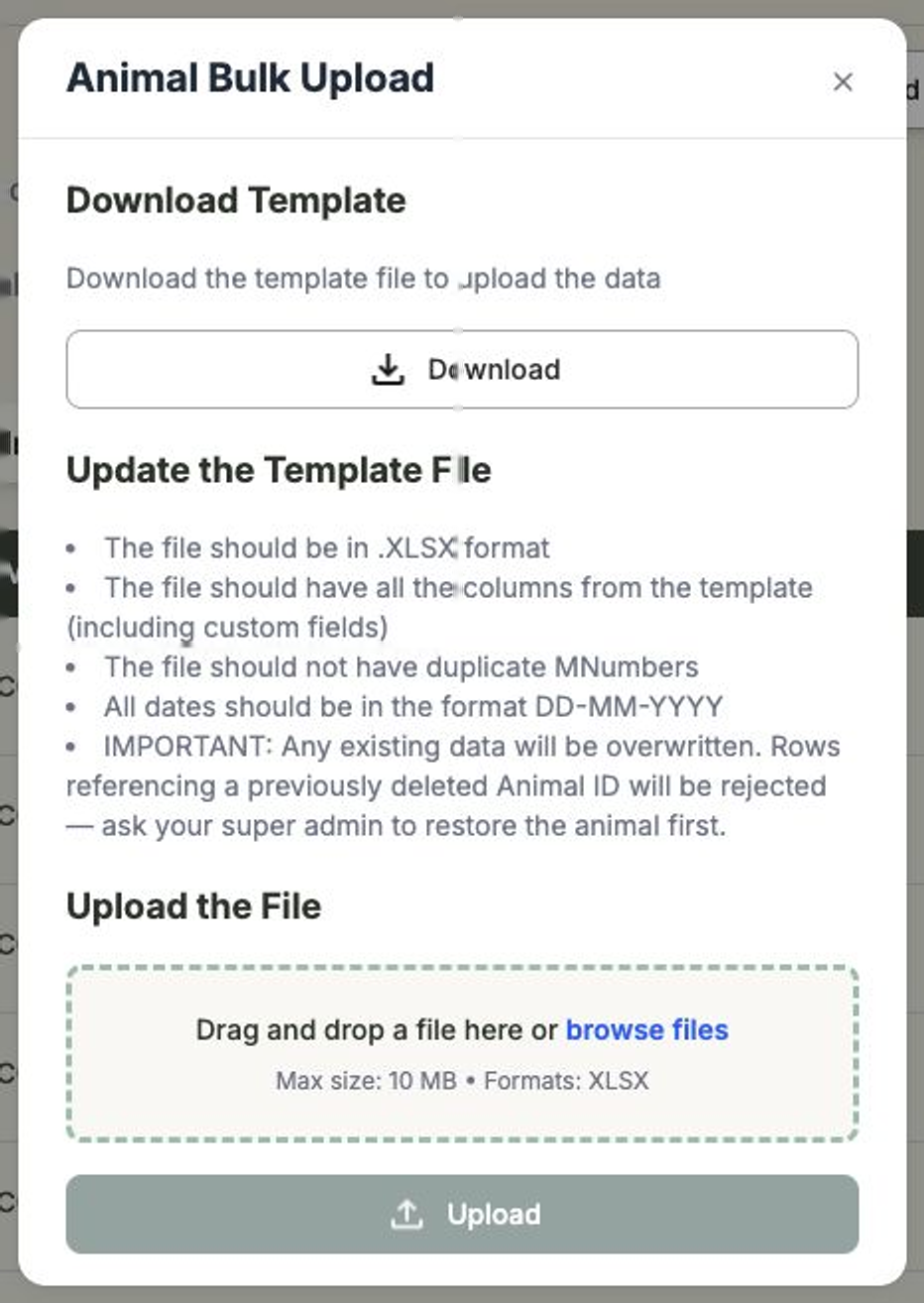 The Animal Bulk Upload window showing the Download Template step and the file upload area