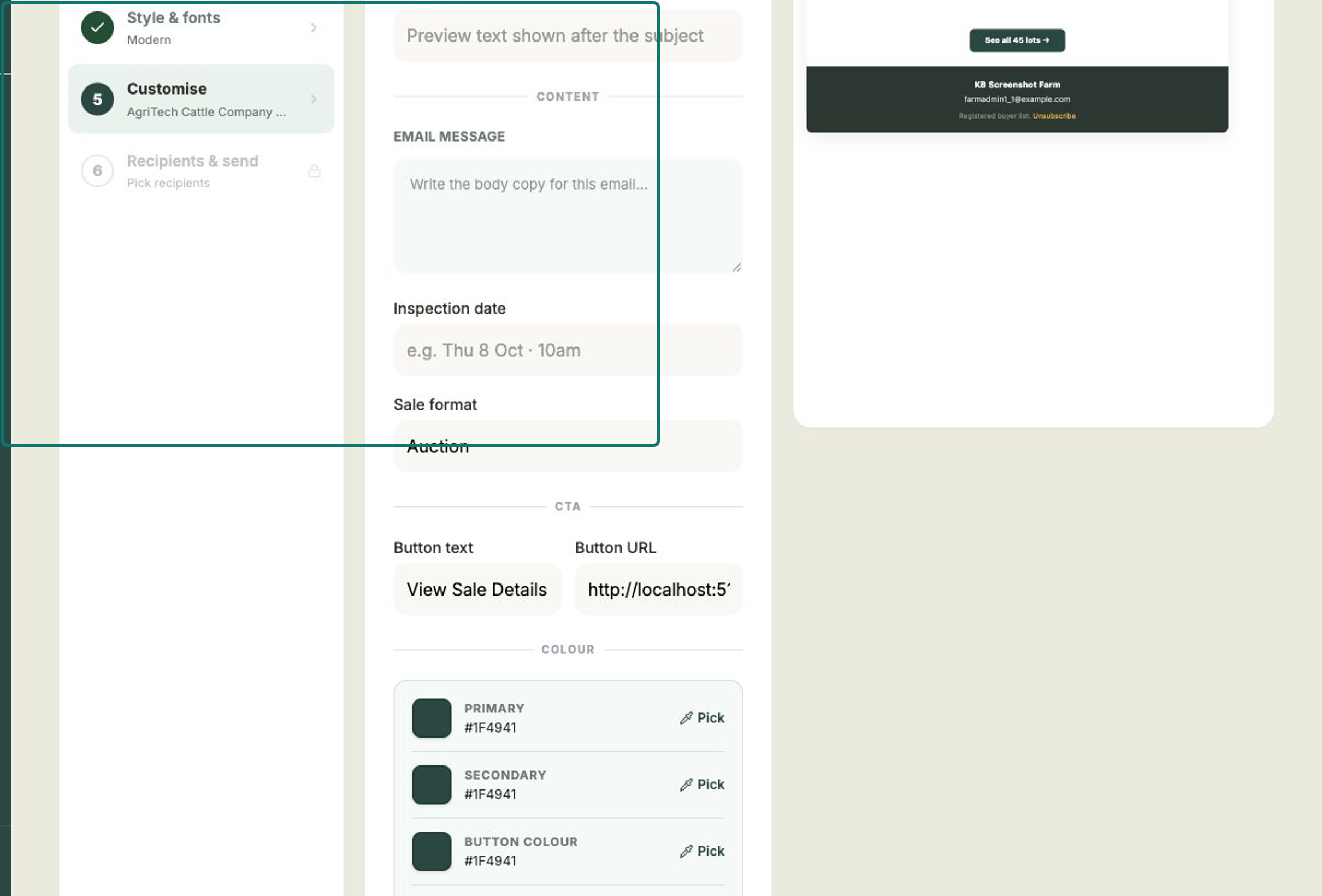 The customise step with content, button and colour fields beside a live preview