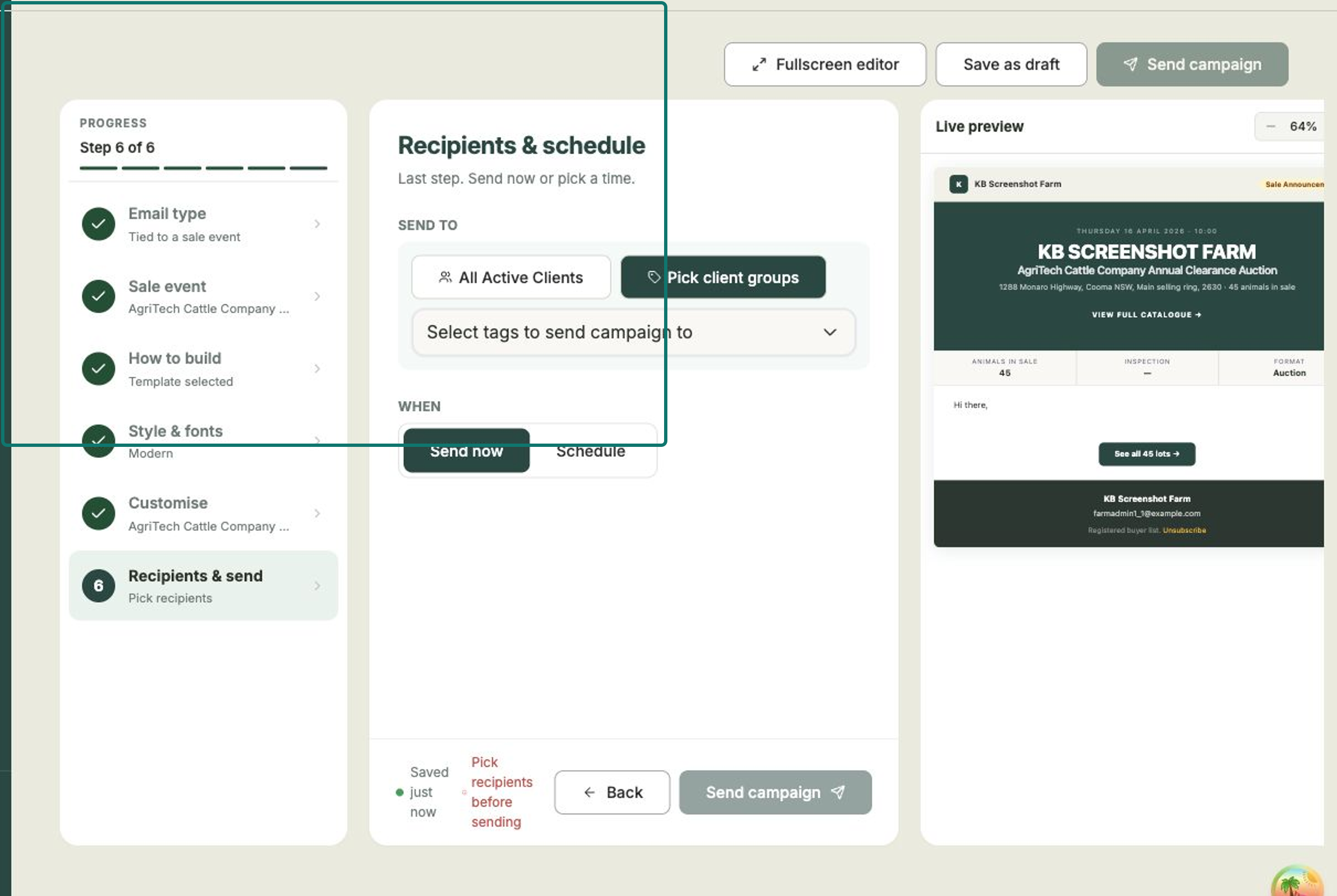 The final step showing recipient options, scheduling and the Send campaign button
