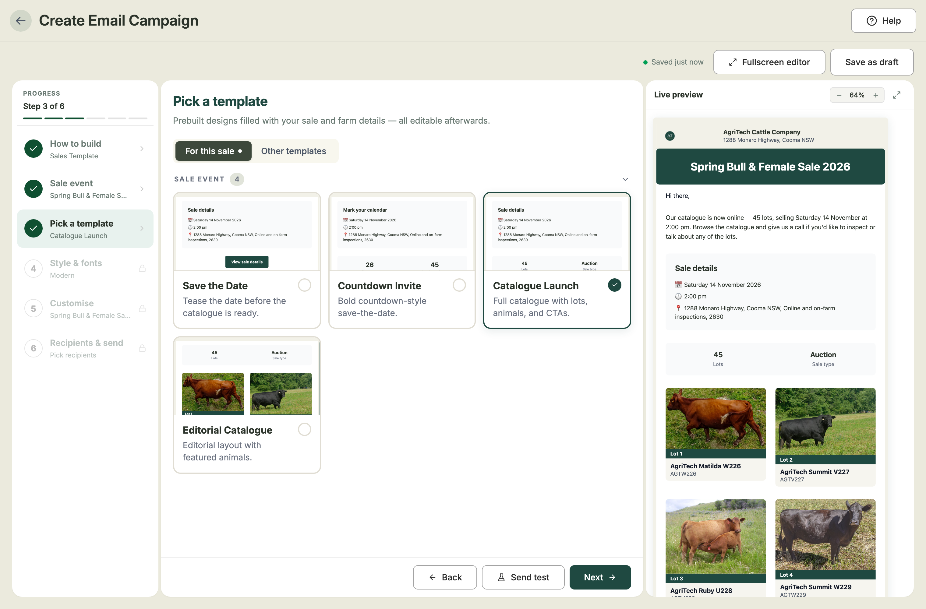 The Pick a template step with preview cards for Save the Date, Countdown Invite, Catalogue Launch and Editorial Catalogue, and Catalogue Launch shown in the live preview
