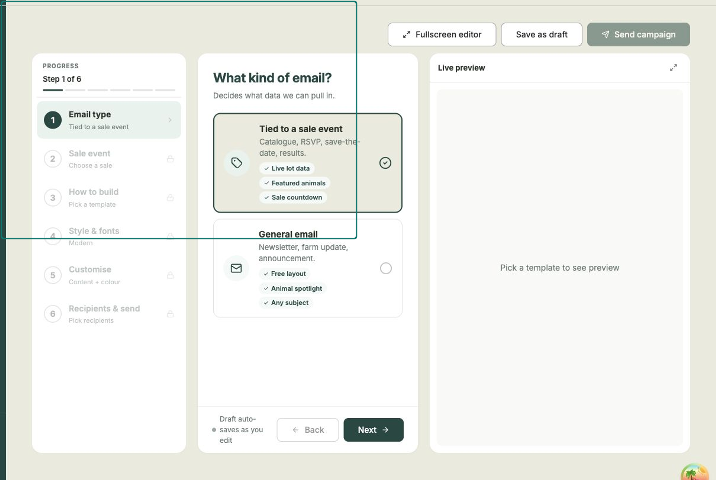 Step one of the campaign wizard showing the sale-event and general email options