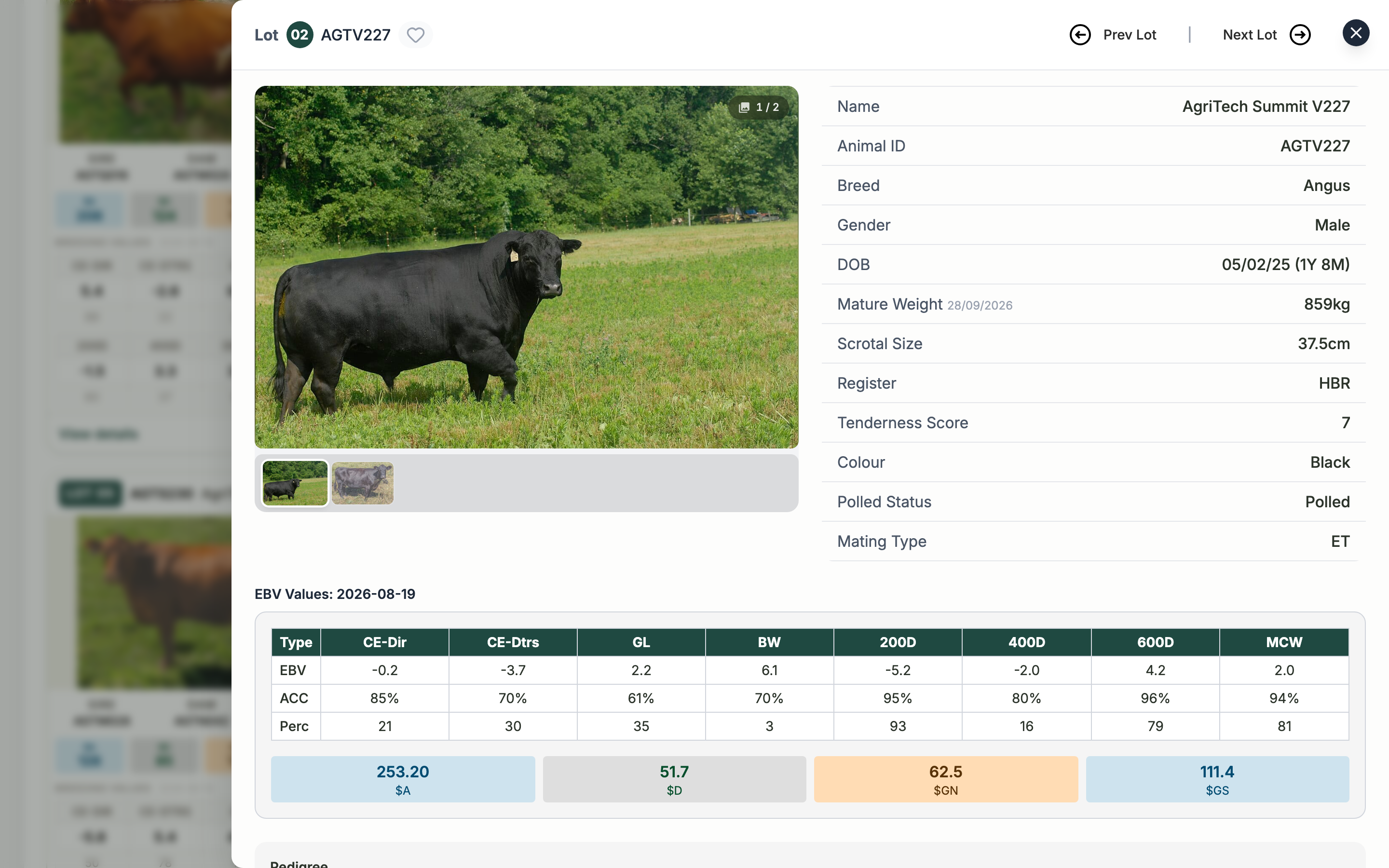 A lot's detail view with a photo gallery, the animal's details, and its EBV table and index values