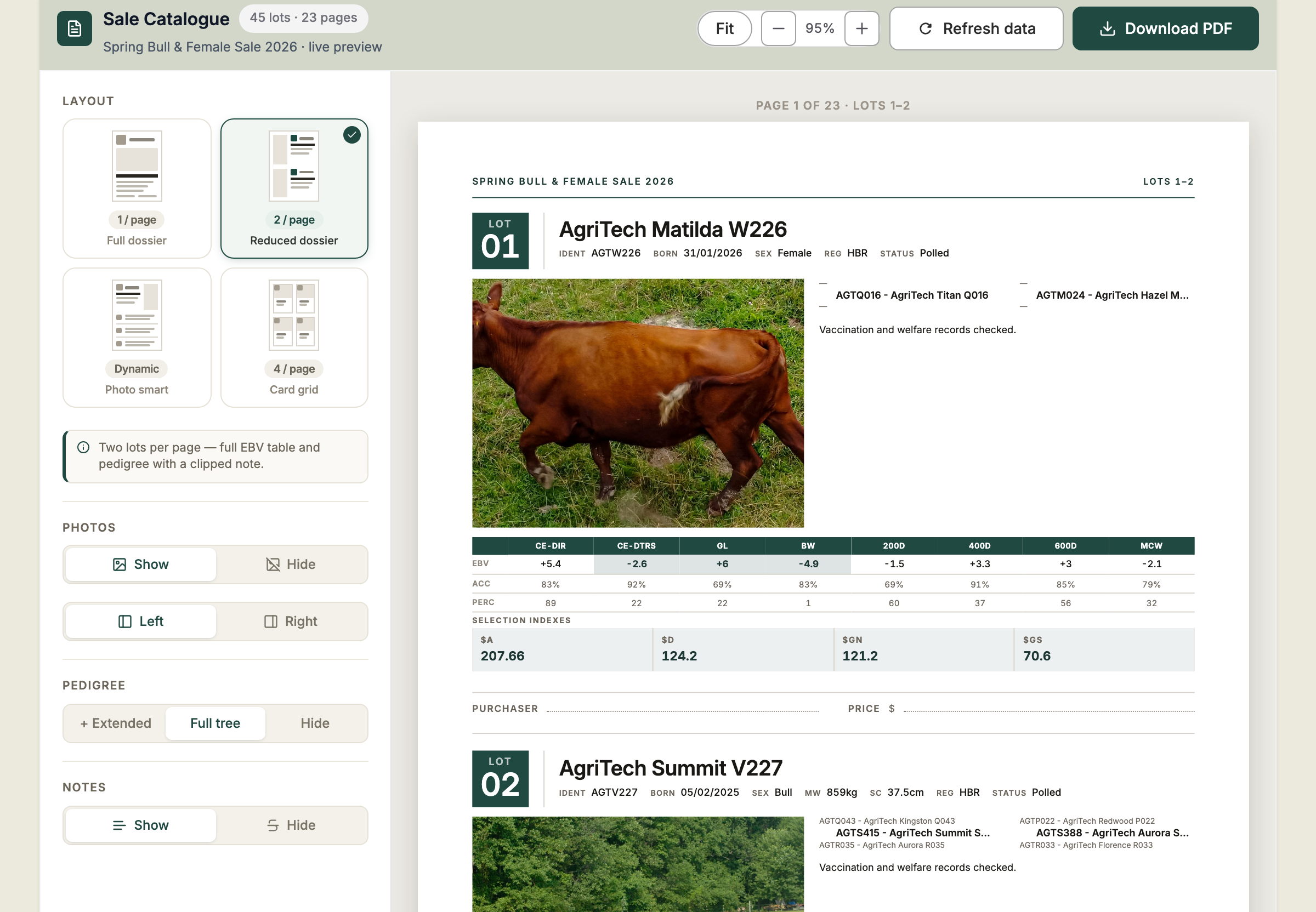 The Catalogue tab with layout, photo, pedigree and notes options on the left and a live preview of the first catalogue page on the right